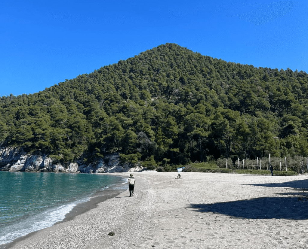 image of a beach in Skopelos, Greece