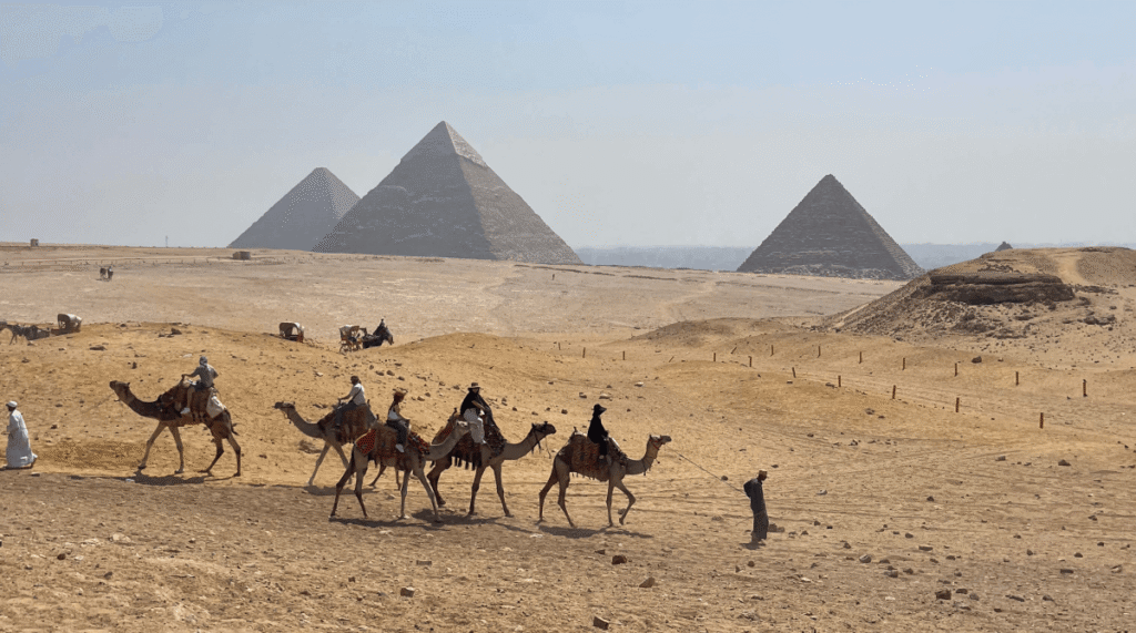 image of the pyramids in Egypt and some camels